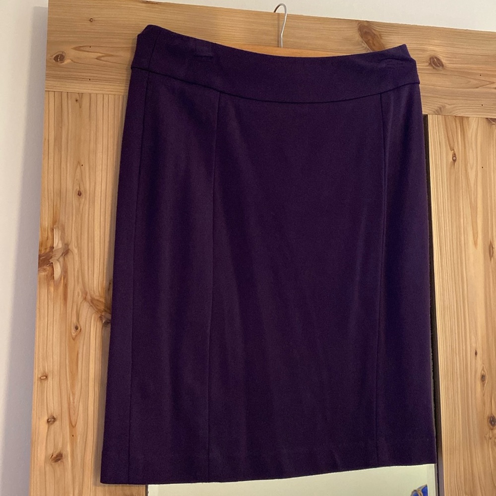 Slip on dark purple skirt